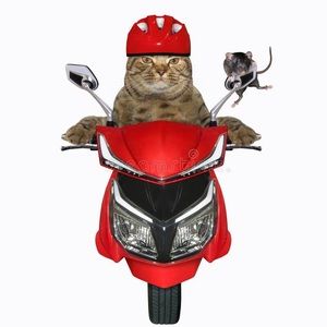 Meet your Posher, Syd